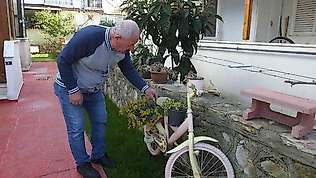Balıkesir'de çiçek hırsızı kadın, güvenlik kamerasına yakalandı