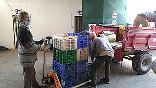 Erdek Zeytin kooperatifinden elek desteği