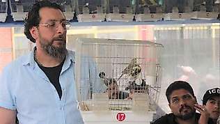 Kütahya'da kuş meraklıları mezatta buluştu