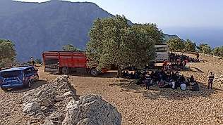 Muğla'da 237 düzensiz göçmen yakalandı
