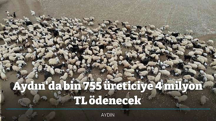 Aydın'da bin 755 üreticiye 4 milyon TL ödenecek