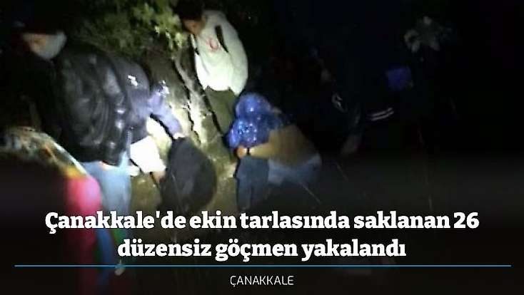 Çanakkale'de ekin tarlasında saklanan 26 düzensiz göçmen yakalandı