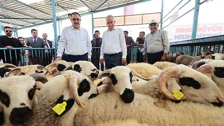 200 aileye 400 damızlık koç ve teke hibe desteği verildi