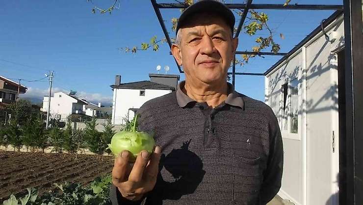 Balıkesir'de emekli eğitimci hobi bahçesinde 'alabaş' turbu yetiştirdi