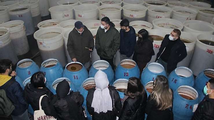 Burhaniye'de üniversiteli gençlerden zeytinyağı fabrikasına teknik gezi