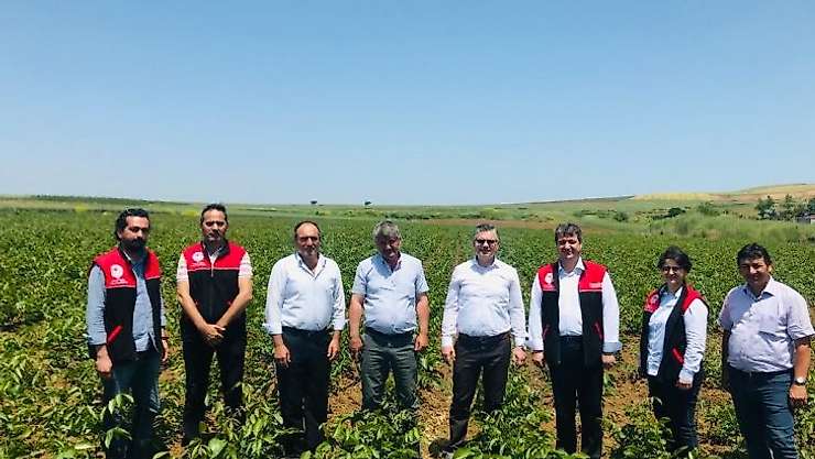 Ceviz fidanları bir çok ülkeye ihrac ediliyor