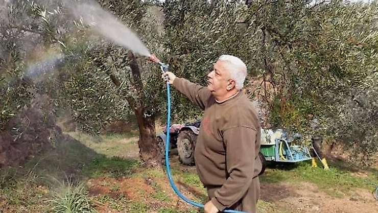 Diker, halkalı leke hastalığına karşı uyarıyor