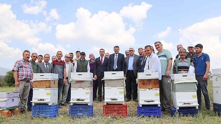 Emet'te arıcılık canlandırılıyor