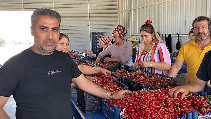 Sancaklıbozköy Kiraz Pazarı yüz güldürüyor