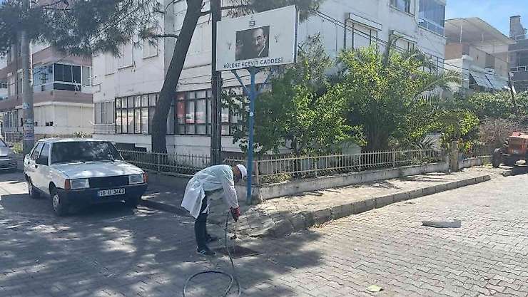 Sineksiz bir Edremit için çalışılıyor