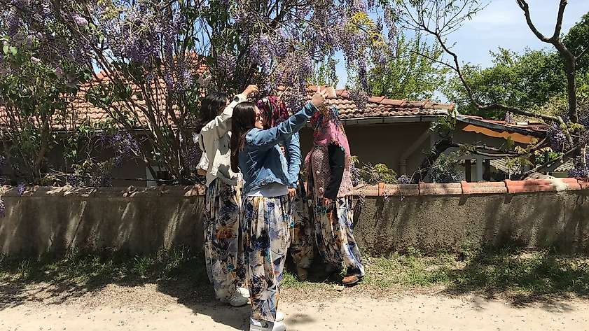 Çanakkale’de Aşıklar Sokağı’nda gençler kısmetini aradı