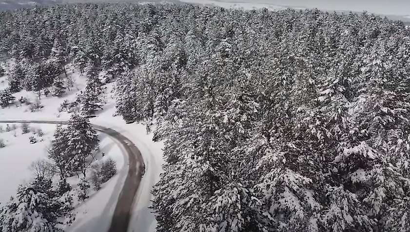 Buz tutan çam ağaçlarından mest eden manzara